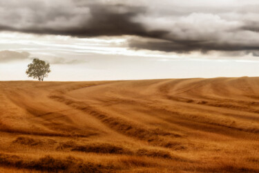 Photography titled "Scanie" by Pierre-Marie Fenech, Original Artwork, Manipulated Photography
