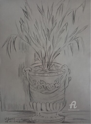 Drawing titled "La jarre dans l' Hô…" by Roberto Urbano, Original Artwork, Pencil