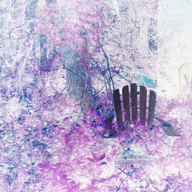 摄影 标题为“Garden Seat” 由Winnie Chrzanowski, 原创艺术品, 操纵摄影