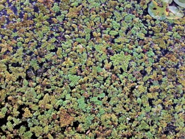 Фотография под названием "На воде" - Alexander Breskin, Подлинное произведение искусства, Цифровая фотография