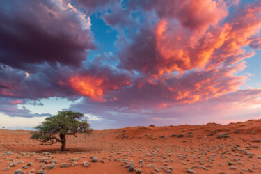 Erioloba des sables Photography titled "Erioloba des sables" by Mathieu Pujol, Original Artwork, Digital Photography Mounted on Other rigid panel
