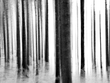 Photography titled "Pilastri" by Andrea Simone Peruzzo, Original Artwork, Digital Photography