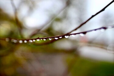 Фотография под названием "Rain" - Sergejs Garijs, Подлинное произведение искусства, Цифровая фотография