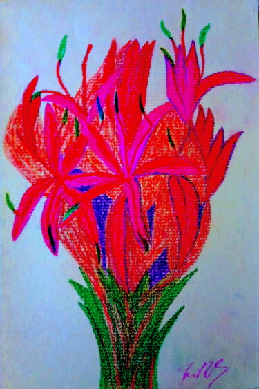 绘画 标题为“Gymea Lilies” 由Irina Rabeja, 原创艺术品, 粉彩