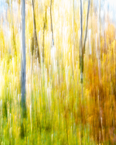 摄影 标题为“Autumn Impression” 由Gwendolyn Roth, 原创艺术品, 光绘摄影