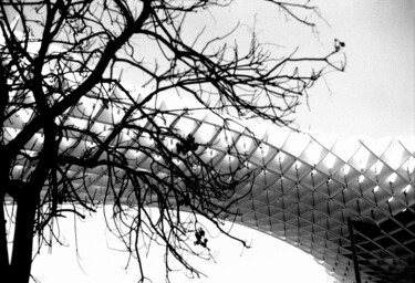 제목이 "la nature est la pr…"인 사진 Arnaud Dubois로, 원작, 아날로그 사진
