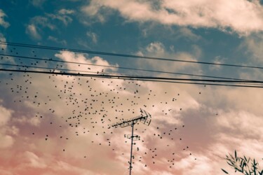 Antenne, ciel et étourneaux Photographie intitulée "Antenne, ciel et ét…" par Marie Navarre, Œuvre d'art originale, Photographie numérique