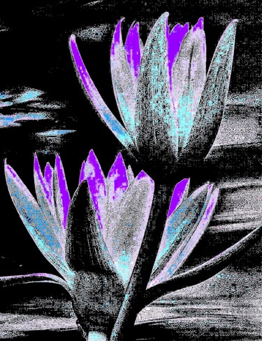 Central Park 5 - Bethesda Fountain Water Lilies 2c5 摄影 标题为“Central Park 5 - Be…” 由Ken Lerner, 原创艺术品, 数码摄影