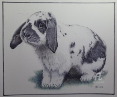 图画 标题为“Hommage à Panpan” 由Valérie Jouffroy Ricotta, 原创艺术品, 圆珠笔