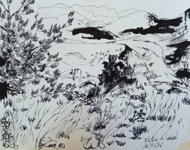제목이 "Plateau de Caussols…"인 그림 Diane Medus로, 원작, 잉크