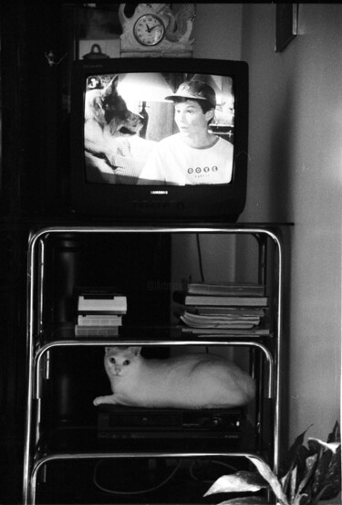 Photographie intitulée "les chiens ne font…" par Arnaud Dubois, Œuvre d'art originale, Photographie argentique