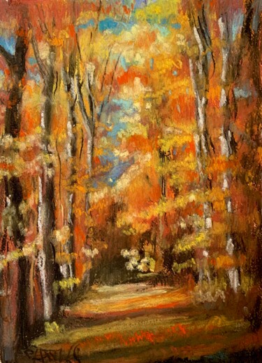 Pittura intitolato "I mille colori del…" da Patrizia Salcini, Opera d'arte originale, Pastello