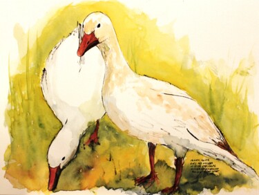 Oies des neiges au musée de la nature à St-Tite-des-Caps Drawing titled "Oies des neiges au…" by René Blanchet, Original Artwork, Ink