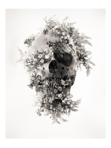 제목이 "Calavera"인 사진 Oriol Jolonch로, 원작, 디지털