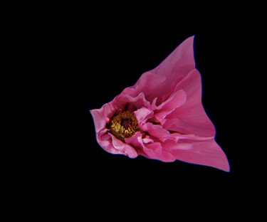 绘画 标题为“Secret spatial” 由Frédéric Letrun, 原创艺术品, 油 安装在木质担架架上