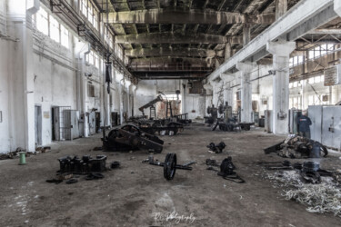 Fotografie mit dem Titel "L'usine" von Romuald Crusson (RC.Photography), Original-Kunstwerk, Digitale Fotografie