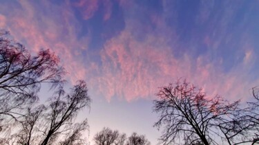 Фотография под названием "Pink" - Sergejs Garijs, Подлинное произведение искусства, Цифровая фотография