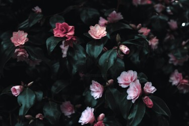 Photographie intitulée "Heaven on earth" par Chatz Schwab, Œuvre d'art originale, Photographie numérique