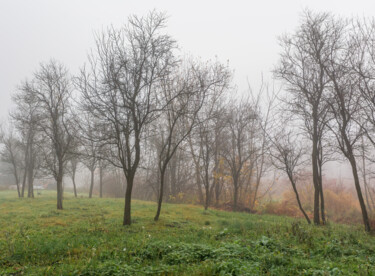 摄影 标题为“Following the Fog 6” 由Jarek Rufer, 原创艺术品, 数码摄影