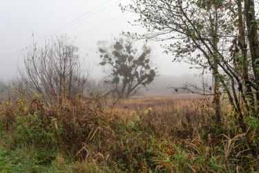 Photography titled "Following the Fog 7" by Jarek Rufer, Original Artwork, Digital Photography