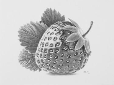 图画 标题为“Strawberry with Win…” 由Dietrich Moravec, 原创艺术品, 铅笔