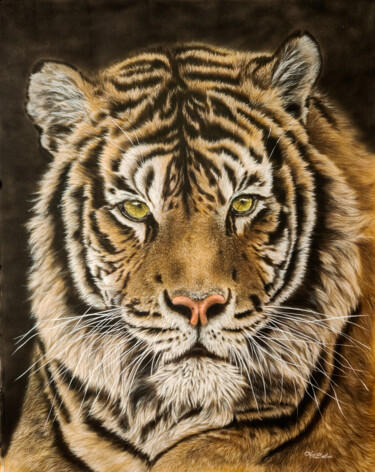 绘画 标题为“Tiger Wisdom” 由Olga Belova, 原创艺术品, 丙烯
