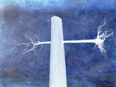 Un arbre, autrement 1