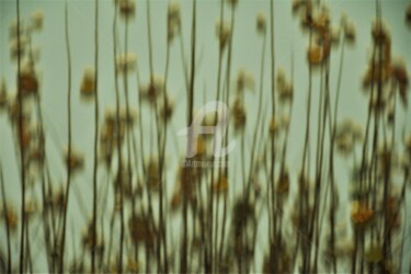 Photographie intitulée "Abstraction d'un no…" par Virginie Dartois, Œuvre d'art originale, Photographie numérique
