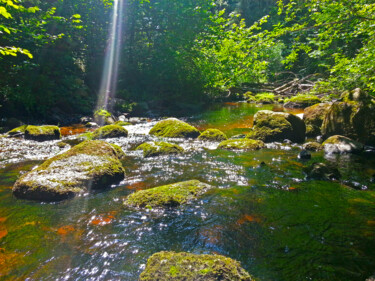 Фотография под названием "small stream" - Sergejs Garijs, Подлинное произведение искусства, Цифровая фотография