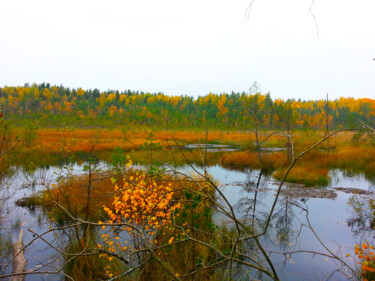 Фотография под названием "autumn." - Sergejs Garijs, Подлинное произведение искусства, Цифровая фотография