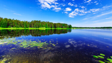 Фотография под названием "summer day" - Sergejs Garijs, Подлинное произведение искусства, Цифровая фотография