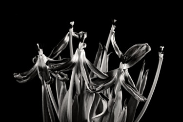 Fotografie getiteld "The passage of time…" door Jarek Rufer, Origineel Kunstwerk, Digitale fotografie