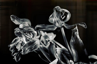 Fotografie getiteld "The passage of time…" door Jarek Rufer, Origineel Kunstwerk, Digitale fotografie