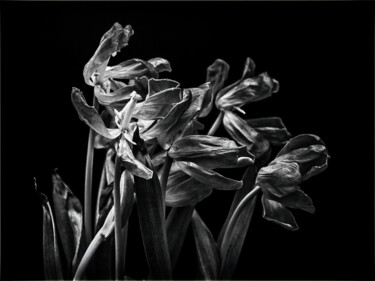 Fotografie getiteld "The passage of time…" door Jarek Rufer, Origineel Kunstwerk, Digitale fotografie