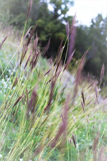 Photography titled "Couleurs" by Magic Glance, Original Artwork, Digital Photography