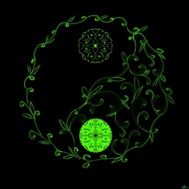 数字艺术 标题为“Equilibre” 由Elina, 原创艺术品, 数字油画