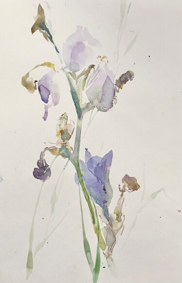 Painting titled "Iris-3" by Helene Manoli, Original Artwork, Watercolor