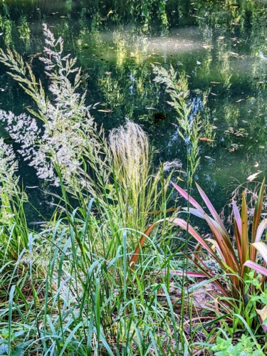「Les herbes du bord…」というタイトルの写真撮影 Béatrice Marie Penaudによって, オリジナルのアートワーク, デジタル