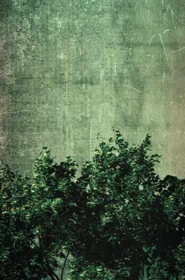 Photography titled "Taczalin" by Paweł Potapowicz, Original Artwork, Analog photography