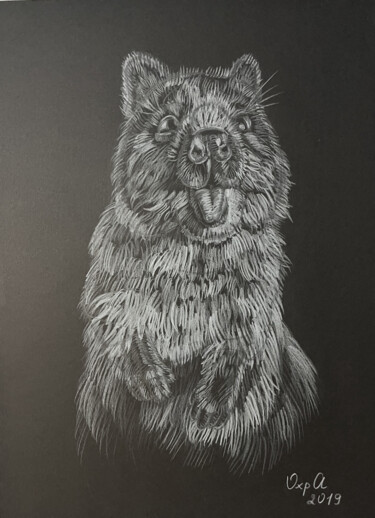 图画 标题为“QUOKKA - small draw…” 由Alona Vakhmistrova, 原创艺术品, 铅笔
