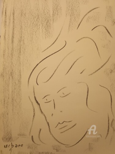 제목이 "Les cheveux dans le…"인 그림 Roberto Urbano로, 원작, 숯