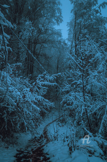 Forêt des Carpates d'hiver Photographie intitulée "Forêt des Carpates…" par Oleg Andrienko, Œuvre d'art originale, Photographie numérique