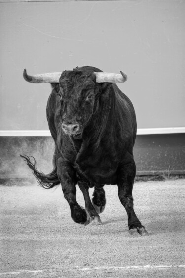 Photographie intitulée "La force" par Olivier Barau, Œuvre d'art originale, Photographie numérique