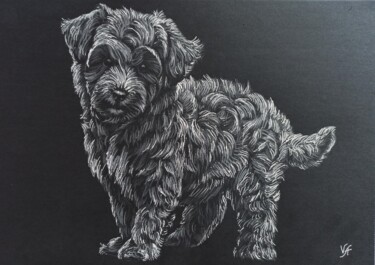 MALTIPOO - small drawing, original gift, dog Dessin intitulée "MALTIPOO - small dr…" par Alona Vakhmistrova, Œuvre d'art originale, Crayon