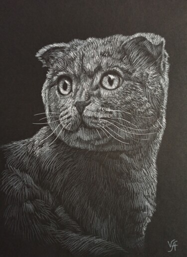 SCOTTISH FOLD - small drawing, original gift, cat 제목이 "SCOTTISH FOLD - sma…"인 그림 Alona Vakhmistrova로, 원작, 연필