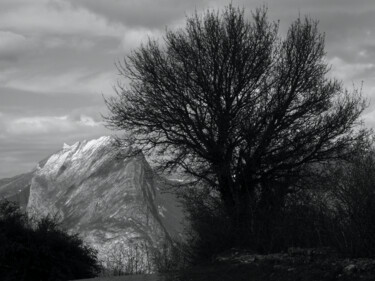 Photographie intitulée "Les éléments" par Florence Pouget-Landrieu, Œuvre d'art originale, Photographie numérique