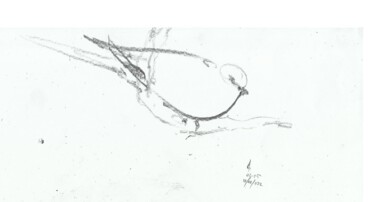 Drawing titled "dove" by Esra Aysu Çeşme, Original Artwork, Pencil