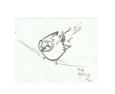 a lıttle bırdıe 绘画 标题为“a lıttle bırdıe” 由Esra Aysu Çeşme, 原创艺术品, 铅笔