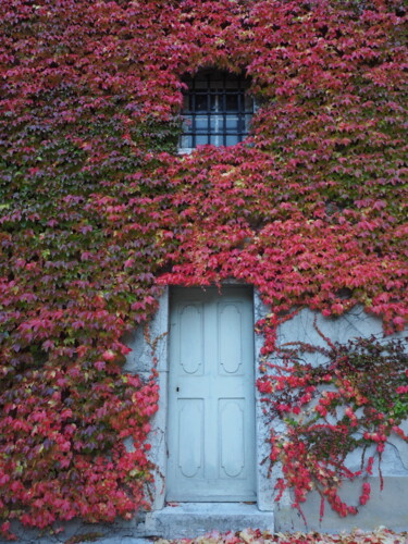 Photography titled "Quand l'automne env…" by Florence Pouget-Landrieu, Original Artwork, Digital Photography