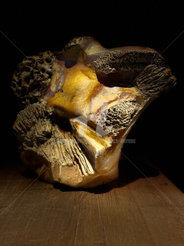 Scultura intitolato "fonds marin" da Martine France Moreau, Opera d'arte originale, Argilla